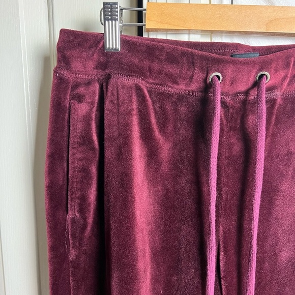 Sanctuary | Velour Jogger Pants | Red large - Picture 4 of 11